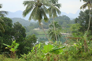 What I Do. Kerala
